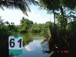 6313061d-irrigated-canal-plantatioin-banana-coconut-lemon-flowers-kasava.jpg