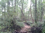 2012-09-03_16-25-15_0903120907d.jpg