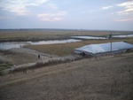 4554RIMG0006.JPG
