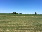 2017-07-03_17-30-15_image1.JPG