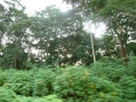 19872P1010722.JPG