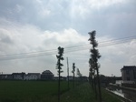 2017-09-12_13-39-15_315429CC-127D-4B19-8716-989E5705FEA5.jpg