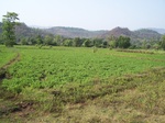 1718820042008(113).JPG