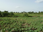 18879P1000721.JPG