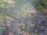 2017-07-05_20-53-25_DSCN2883.JPG