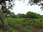 18419P1000255.JPG