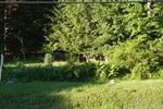 2017-07-05_14-51-30_NORTH.jpg