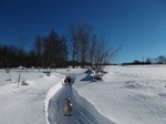 2017-03-02_10-39-24_Feb17-182-ME.jpg