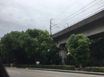 2017-09-10_06-35-36_A8396E50-BDE4-4664-95A6-5C49AF0AFE2E.jpg