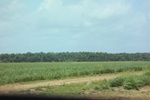 2022-05-26_14-58-39_E5B4C6E3-85D7-405D-8BCF-8ED55BDC7E05.jpeg