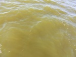 2012-09-21_14-26-49_CIMG0041.JPG