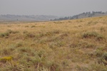 2017-09-13_16-14-58_view 9-4.jpg