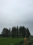 2017-09-10_20-48-51_4E1A71F0-4BEC-4C45-8B9C-FCC1E2D744CA.jpg