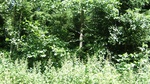 2016-07-25_03-26-56_DSCF1569.JPG