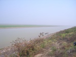 4621RIMG0054-1.JPG