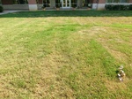 2012-09-24_21-09-04_CIMG0025.JPG