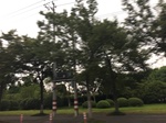 2017-09-10_06-25-03_2398BF3C-861C-494C-8041-F1A323C36C6B.jpg