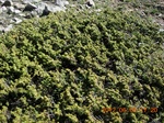 2012-09-27_14-25-54_182.JPG