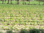 1764822042008(28).JPG