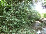 19804P1010653.JPG