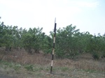 488502052008(79).JPG