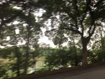 2017-09-10_20-41-48_14B4D88F-5115-4590-AE1C-DCB7A958A37C.jpg