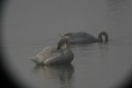 4166IMG_8803.JPG