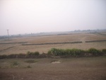 4690RIMG0206.JPG