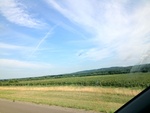 57954IMG_0917.JPG