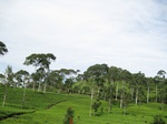 18065IMG_3925.JPG