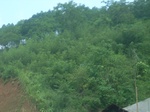 2012-09-08_18-23-58_RIMG0048.JPG
