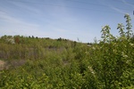 267IMG_4163.JPG