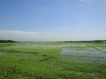 21333DSC00595.JPG