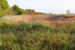2021-04-15_11-18-41_10_2_20_36thNE_N.JPG