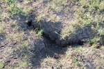 2012-10-19_23-47-00_TX-CLL-20-1.JPG