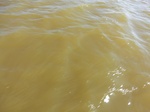 2012-09-21_14-26-10_CIMG0086.JPG