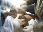 3372 024.jpg