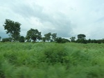 20874P1020738.JPG