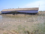 438620071010gps 022.jpg