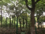 2017-09-11_22-25-27_F4D3508A-C14E-47F6-8E1D-DCD635356627.jpg