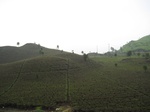 18046IMG_3845.JPG