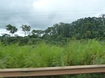 20238P1020093.JPG