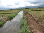 2012-09-07_10-02-54_CIMG6628.JPG