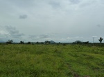 18581P1000418.JPG