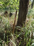 2012-09-24_10-40-24_DSC03144.JPG