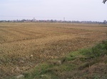 3174R0017208.JPG