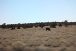 2017-05-08_20-09-57_2017-03-15 11.09.44.jpg