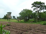 18421P1000257.JPG