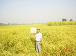 11282gt092-cropland-1.jpg