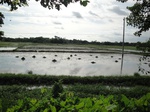 21379DSC00656.JPG